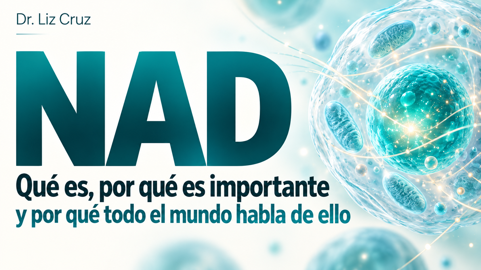 NAD: Qué es, por qué es importante y por qué todo el mundo habla de ello
